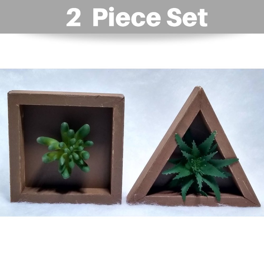 Succulent Wood Box Wall Hanging Art Decor 2 Pc Set